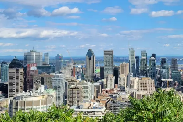 sugar daddy montreal